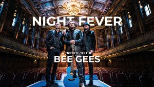 Image of Tribute To The Bee Gees
